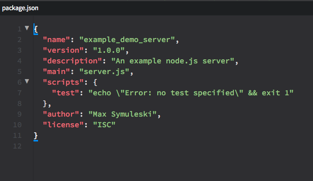 initial package.json